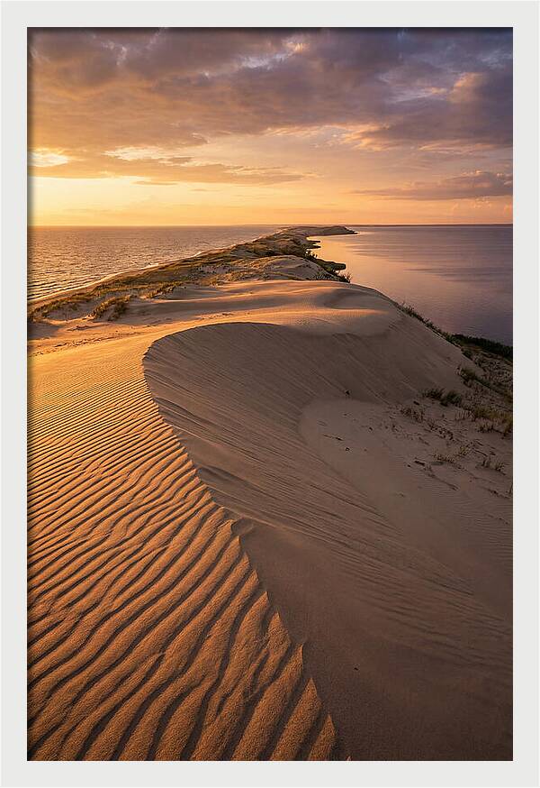 Curonian Spit Sand Dunes At Golden Hour