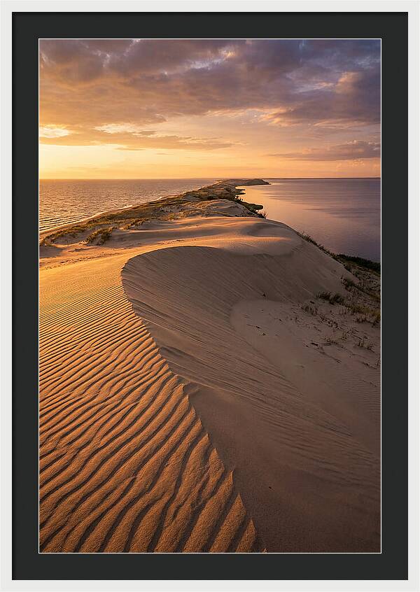 Curonian Spit Sand Dunes At Golden Hour