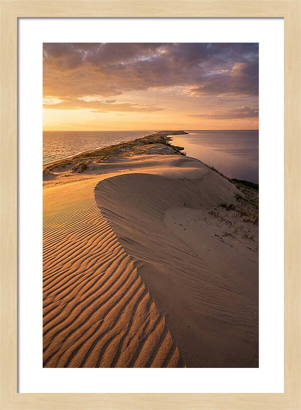 Curonian Spit Sand Dunes At Golden Hour
