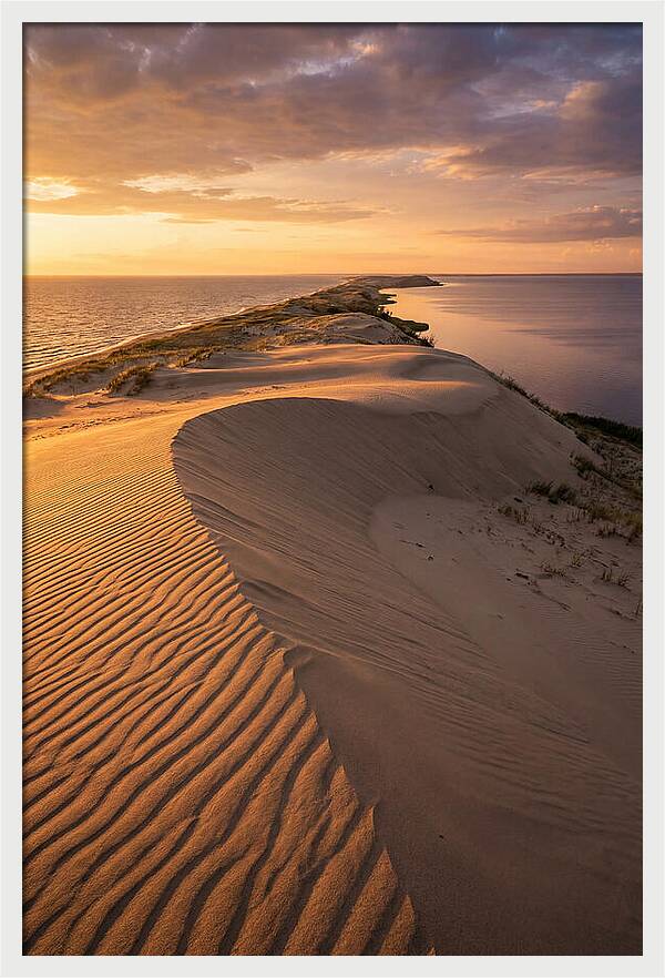 Curonian Spit Sand Dunes At Golden Hour