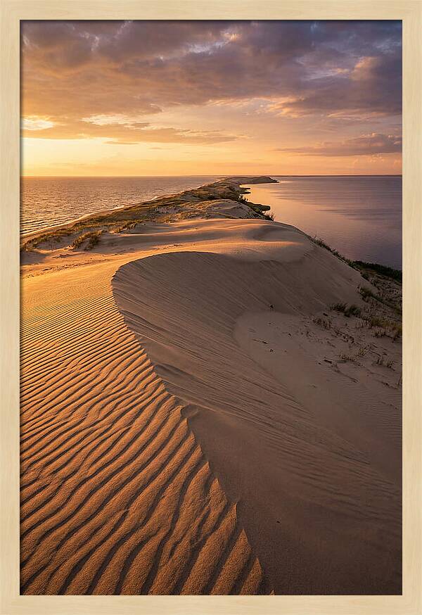 Curonian Spit Sand Dunes At Golden Hour
