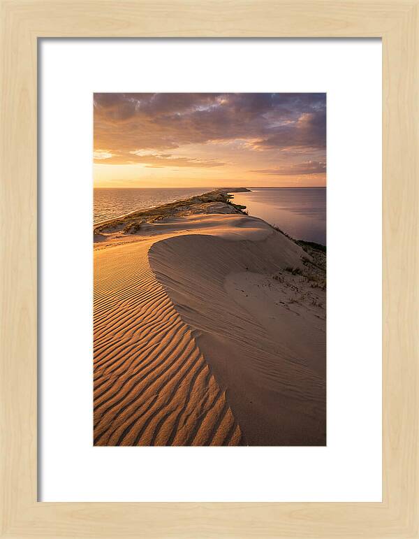 Curonian Spit Sand Dunes At Golden Hour