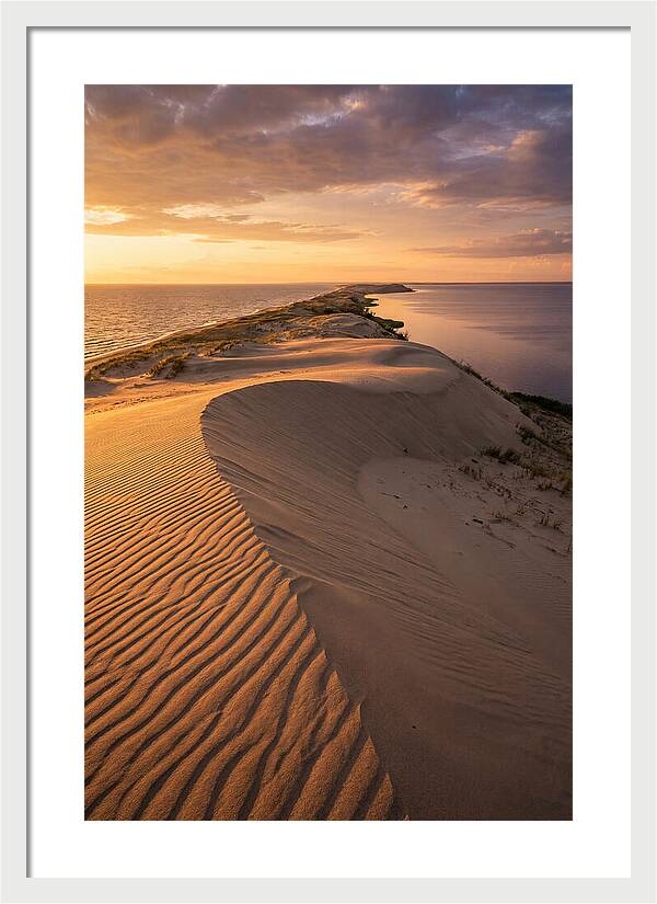 Curonian Spit Sand Dunes At Golden Hour