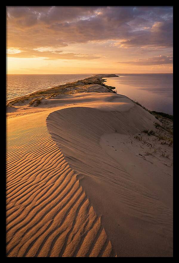 Curonian Spit Sand Dunes At Golden Hour
