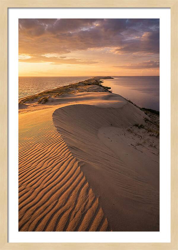 Curonian Spit Sand Dunes At Golden Hour