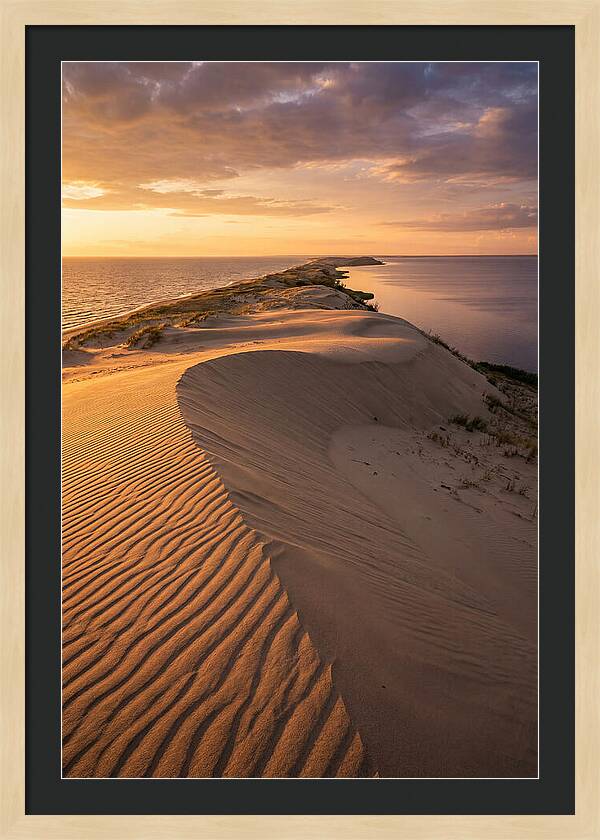 Curonian Spit Sand Dunes At Golden Hour