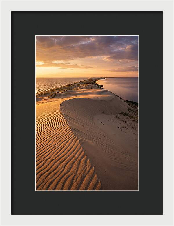 Curonian Spit Sand Dunes At Golden Hour