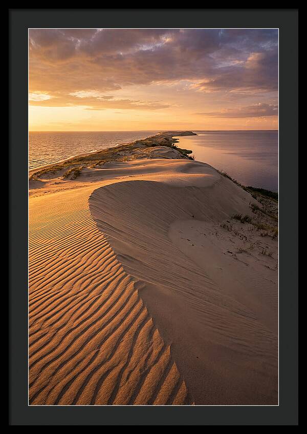 Curonian Spit Sand Dunes At Golden Hour
