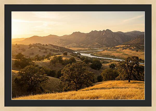 Custer State Park Serenity