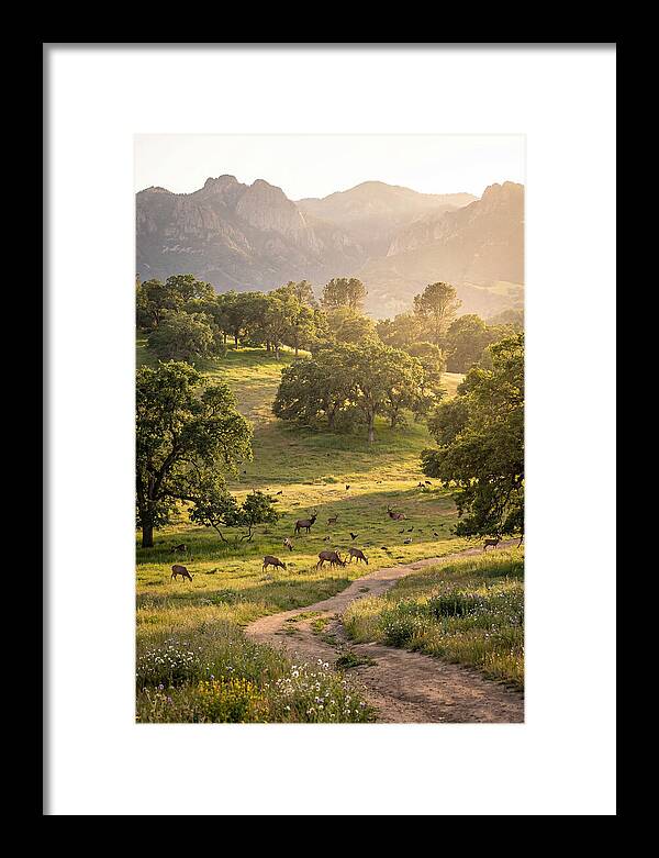 Custer State Park Tranquility