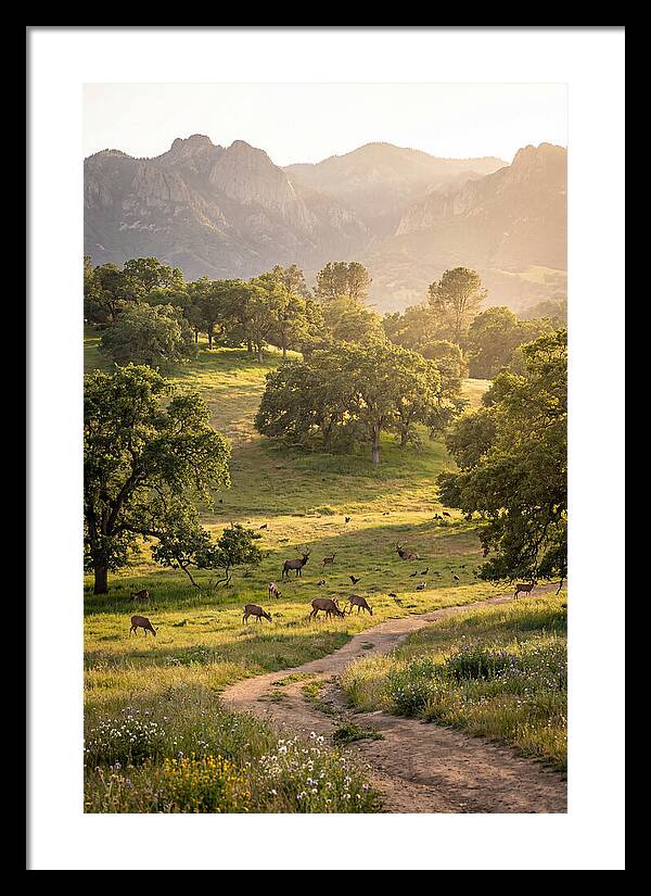 Custer State Park Tranquility