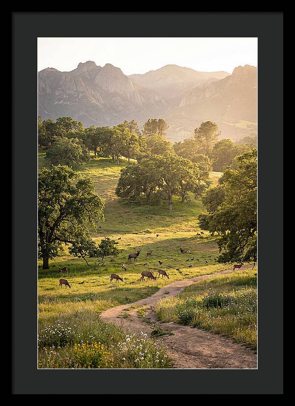 Custer State Park Tranquility