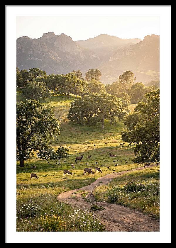 Custer State Park Tranquility