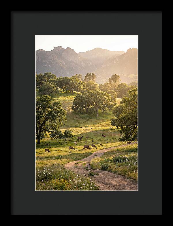 Custer State Park Tranquility