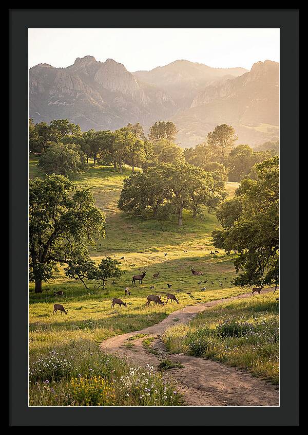 Custer State Park Tranquility