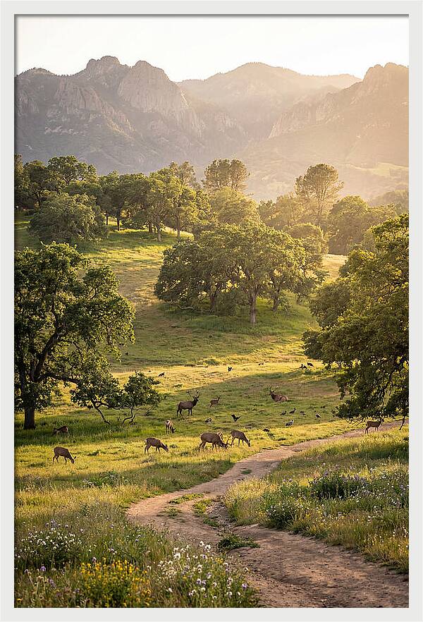 Custer State Park Tranquility