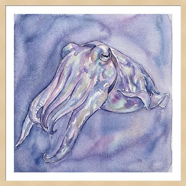 Cuttlefish Dance In Watercolor