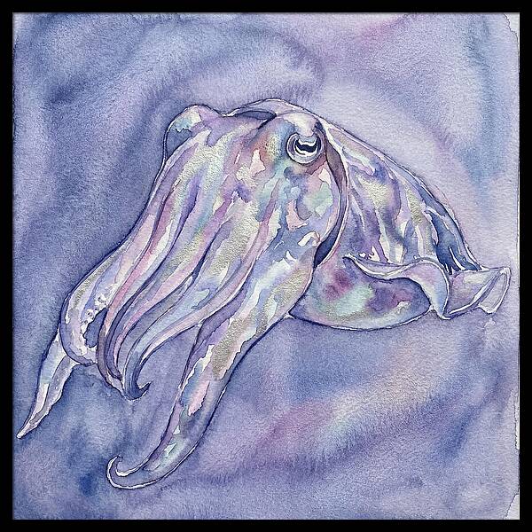 Cuttlefish Dance In Watercolor
