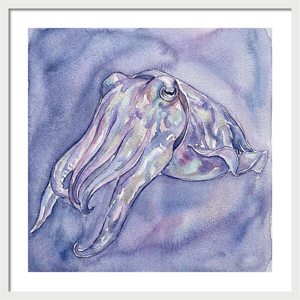 Cuttlefish Dance In Watercolor