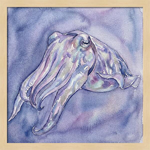Cuttlefish Dance In Watercolor