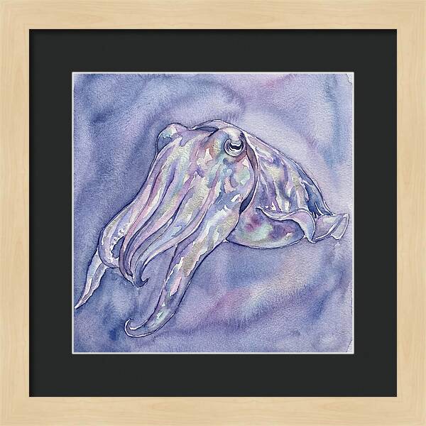 Cuttlefish Dance In Watercolor