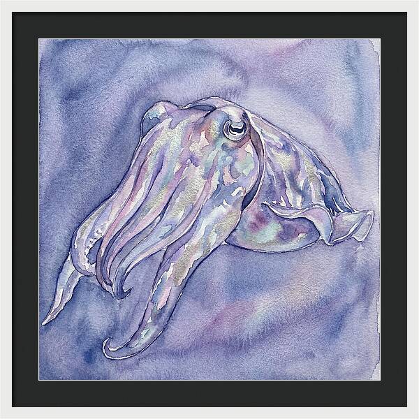 Cuttlefish Dance In Watercolor