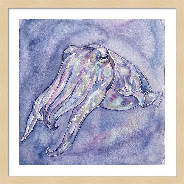 Cuttlefish Dance In Watercolor