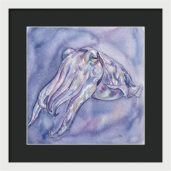 Cuttlefish Dance In Watercolor