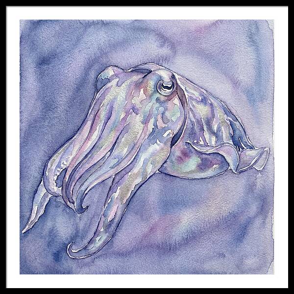 Cuttlefish Dance In Watercolor