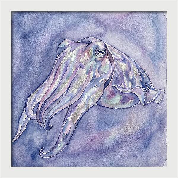 Cuttlefish Dance In Watercolor