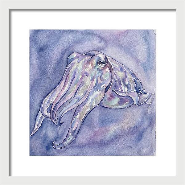Cuttlefish Dance In Watercolor