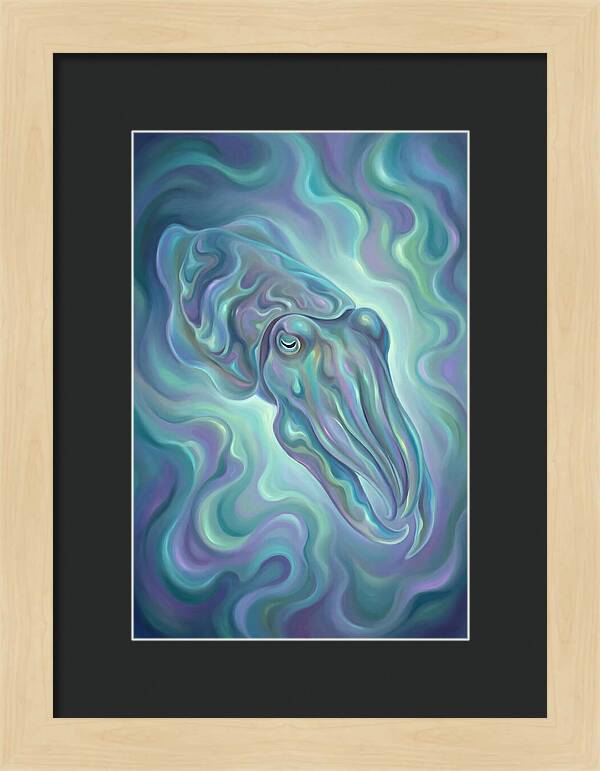Cuttlefish In Iridescent Waters