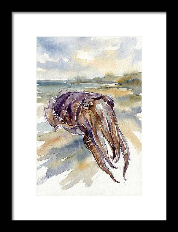 Cuttlefish In Watercolor