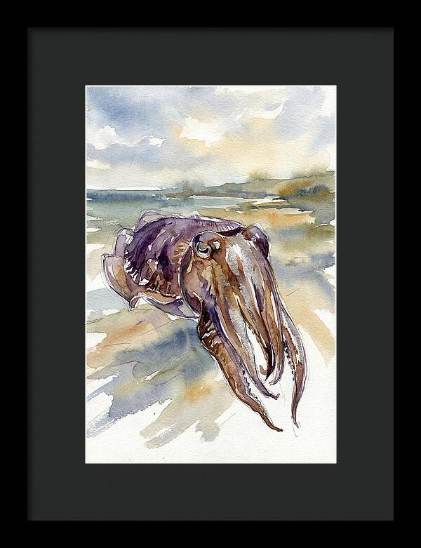 Cuttlefish In Watercolor