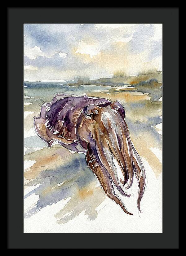 Cuttlefish In Watercolor