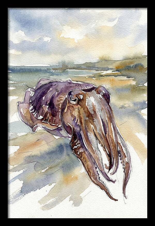 Cuttlefish In Watercolor