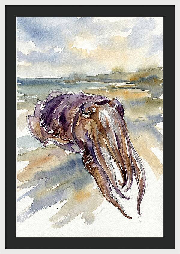 Cuttlefish In Watercolor