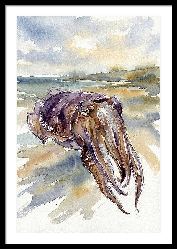 Cuttlefish In Watercolor