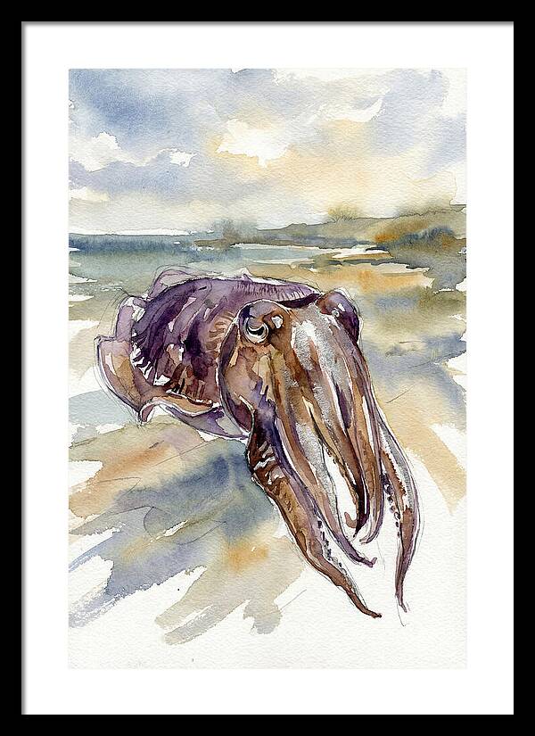 Cuttlefish In Watercolor