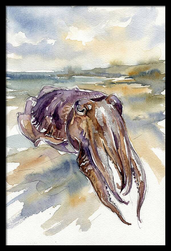 Cuttlefish In Watercolor
