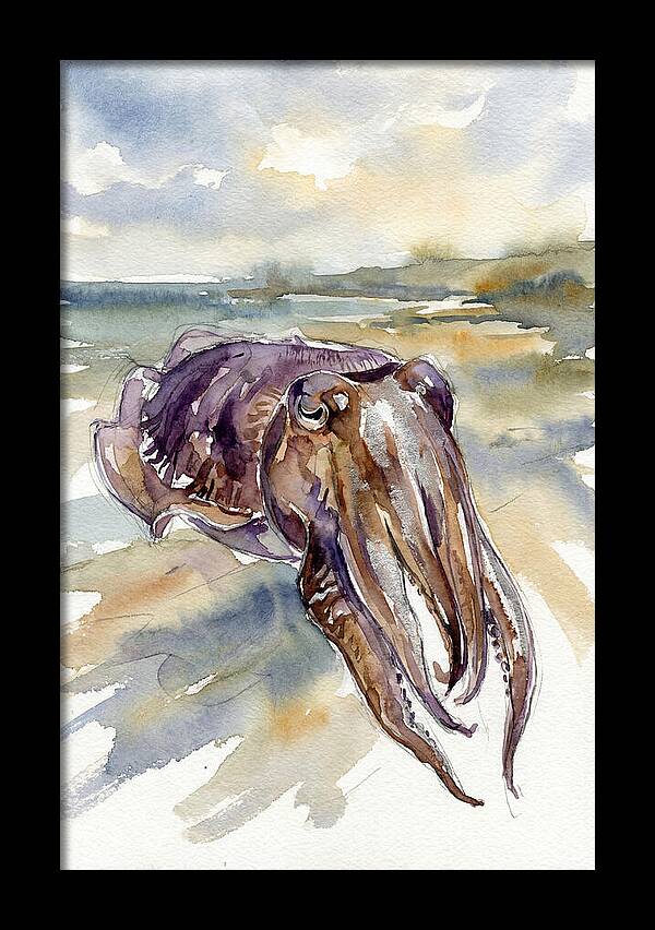 Cuttlefish In Watercolor
