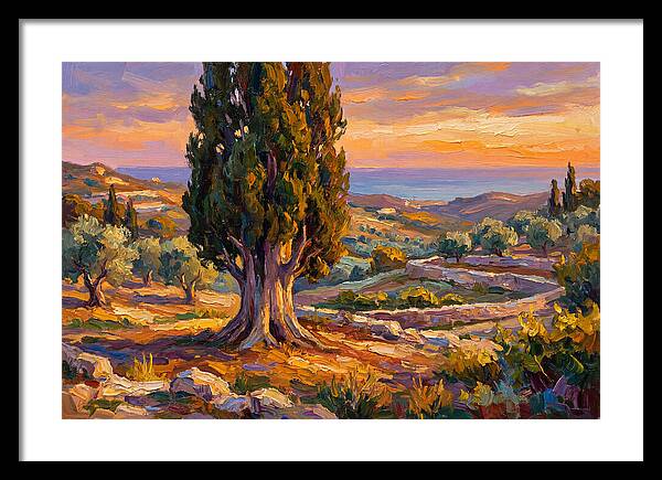 Cypress Tree At Sunset