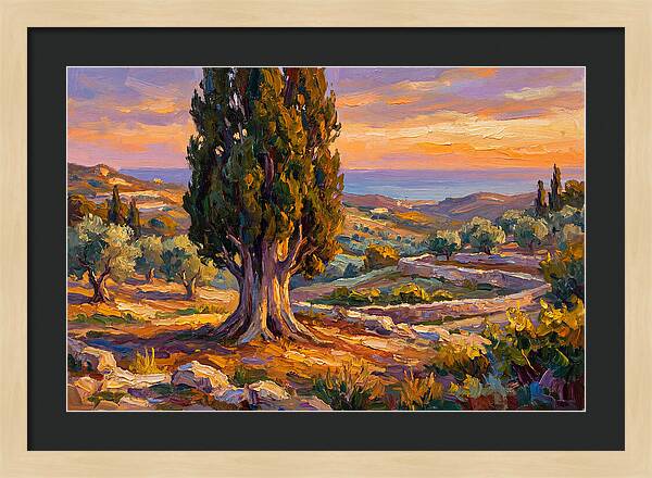Cypress Tree At Sunset
