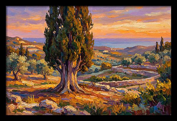 Cypress Tree At Sunset