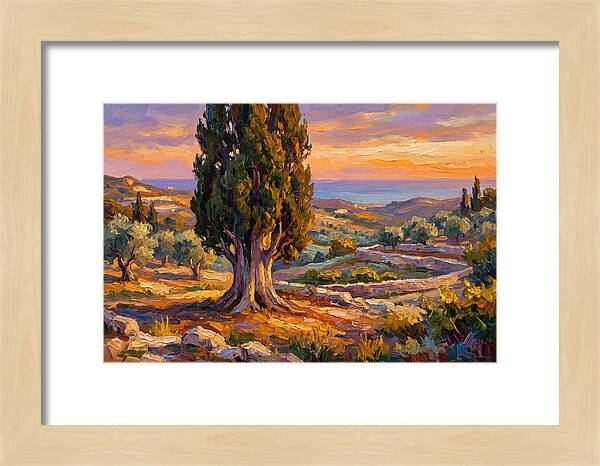 Cypress Tree At Sunset