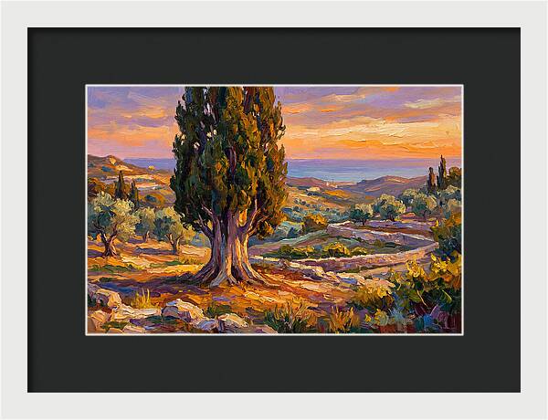 Cypress Tree At Sunset