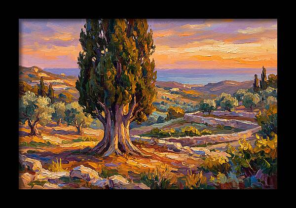 Cypress Tree At Sunset