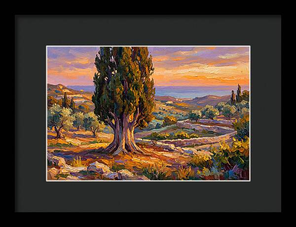 Cypress Tree At Sunset