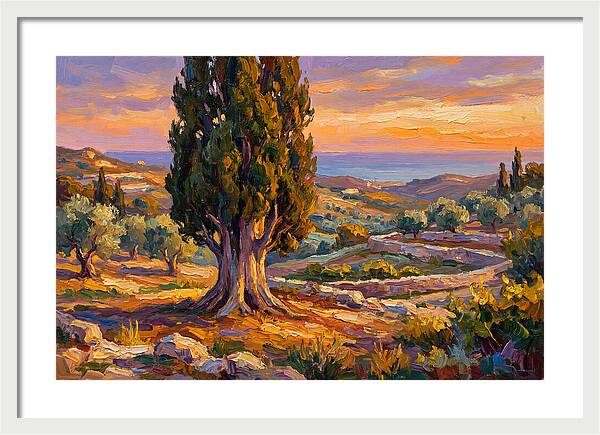 Cypress Tree At Sunset