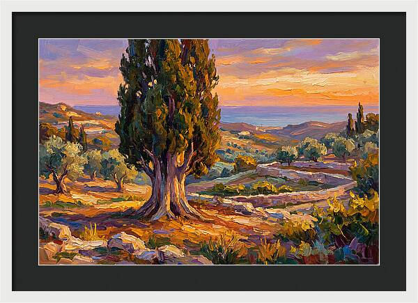 Cypress Tree At Sunset